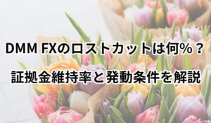 DMMFXのロストカット説明画像