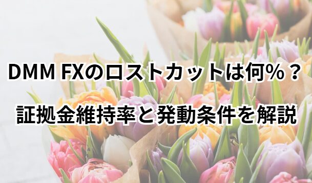 DMMFXのロストカット説明画像